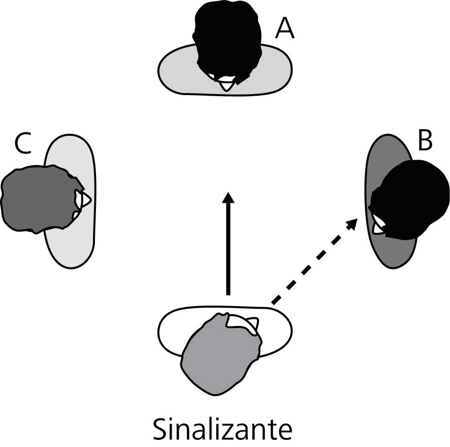 figura 4