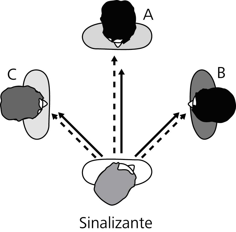 Figura 5