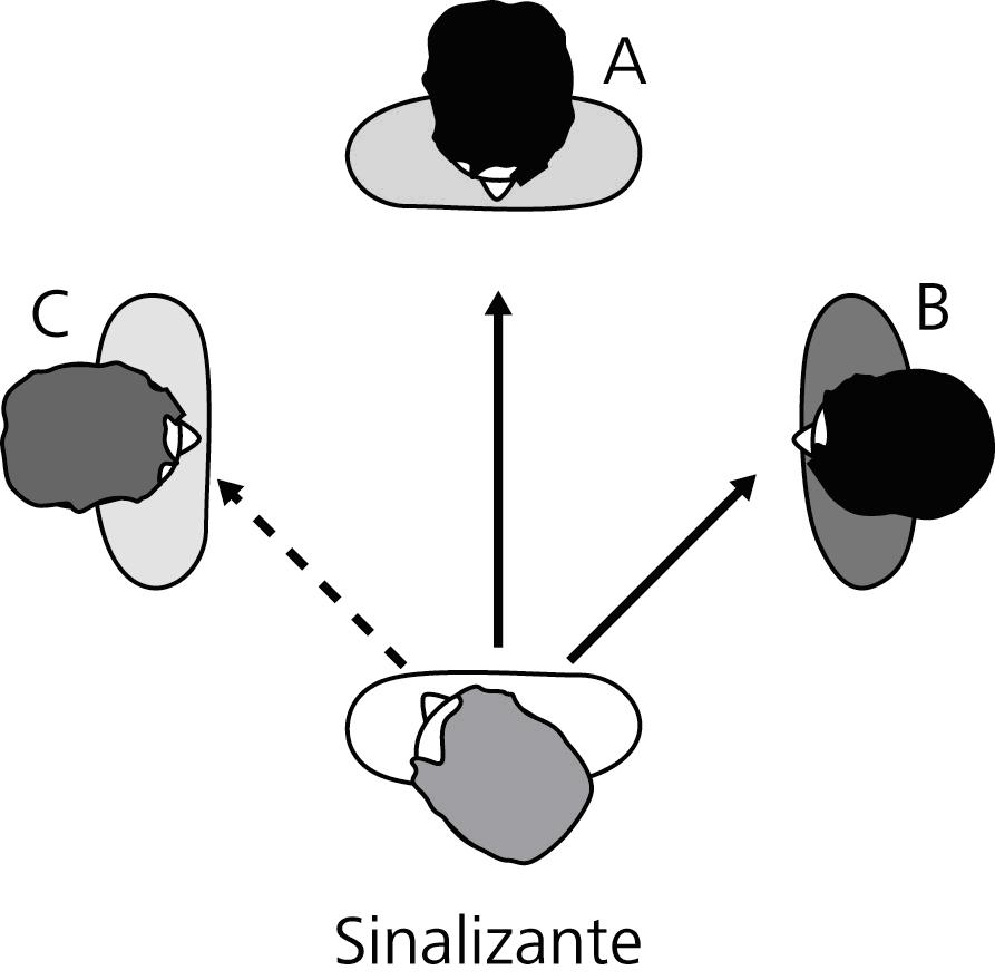 Figura 6