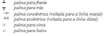 imagem4